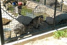 My visit to Forever Wild