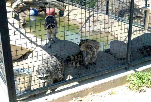 My visit to Forever Wild