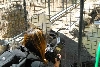 My visit to Forever Wild