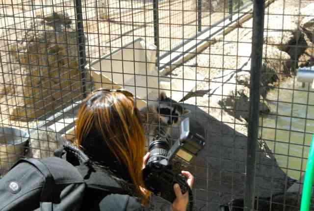 My visit to Forever Wild
