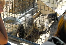 My visit to Forever Wild