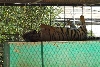 My visit to Forever Wild