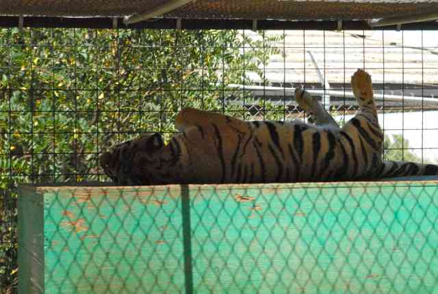 My visit to Forever Wild