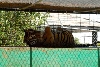 My visit to Forever Wild