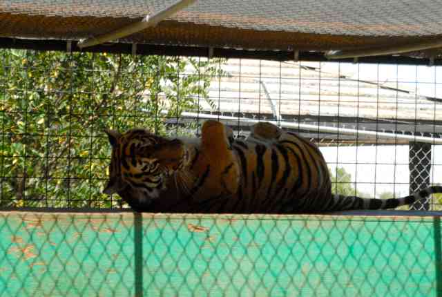 My visit to Forever Wild