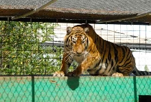 My visit to Forever Wild