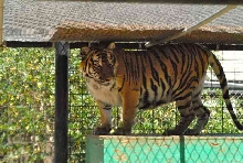My visit to Forever Wild