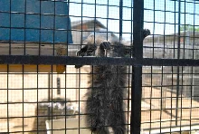 My visit to Forever Wild