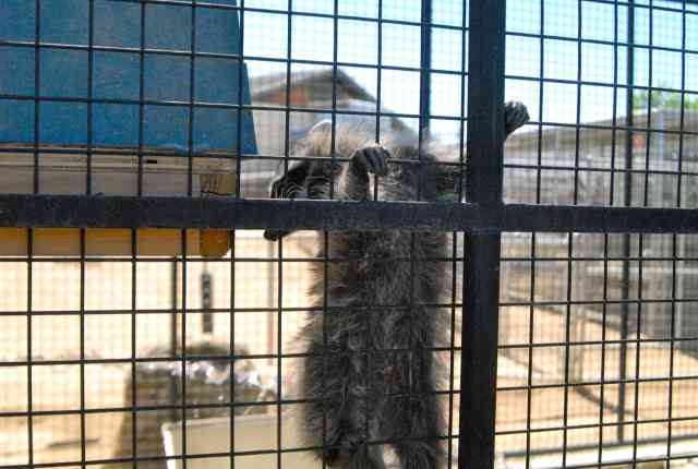 My visit to Forever Wild