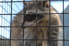 My visit to Forever Wild