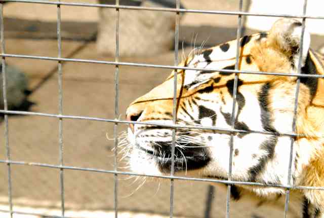 My visit to Forever Wild