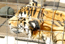 My visit to Forever Wild