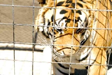 My visit to Forever Wild