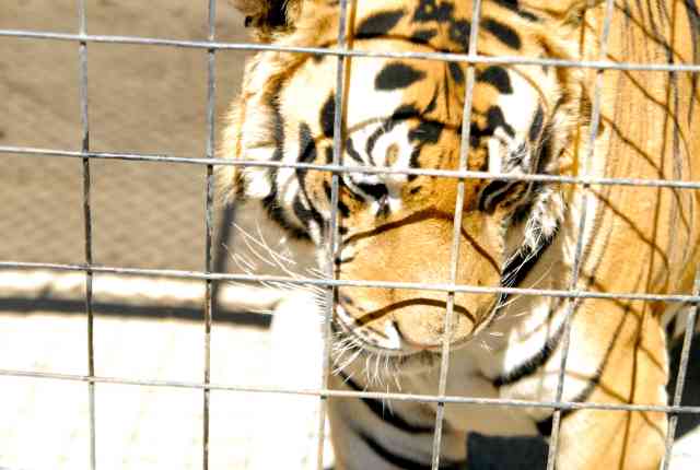 My visit to Forever Wild