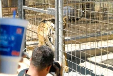 My visit to Forever Wild