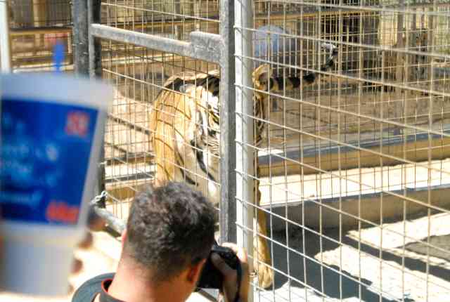 My visit to Forever Wild
