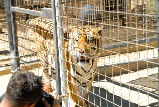My visit to Forever Wild