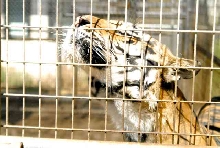 My visit to Forever Wild