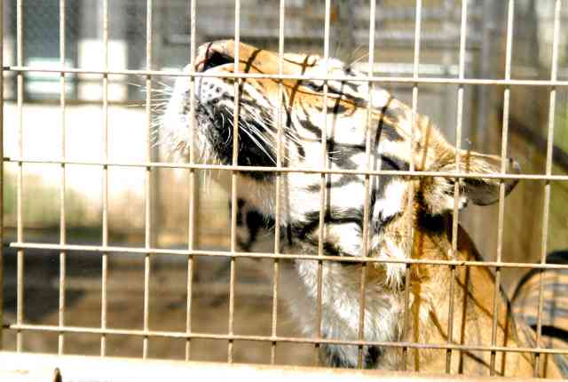 My visit to Forever Wild