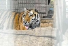 My visit to Forever Wild