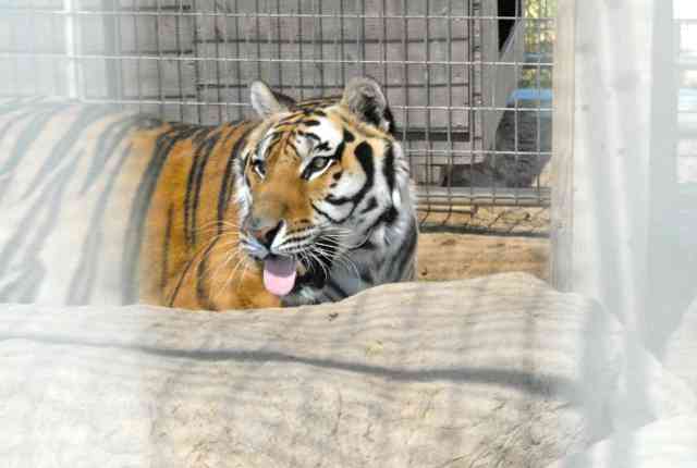 My visit to Forever Wild