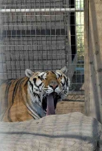 My visit to Forever Wild