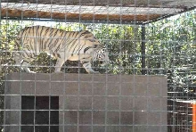 My visit to Forever Wild