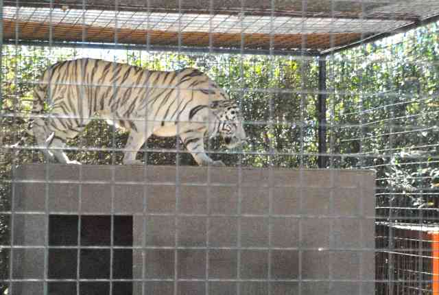 My visit to Forever Wild