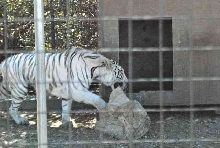 My visit to Forever Wild
