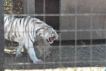 My visit to Forever Wild