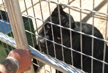 My visit to Forever Wild