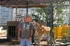 My visit to Forever Wild