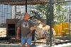 My visit to Forever Wild