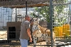 My visit to Forever Wild