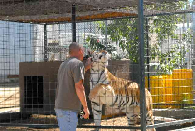 My visit to Forever Wild