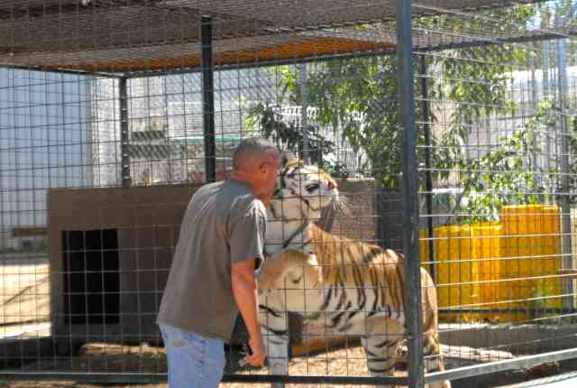 My visit to Forever Wild