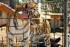 My visit to Forever Wild