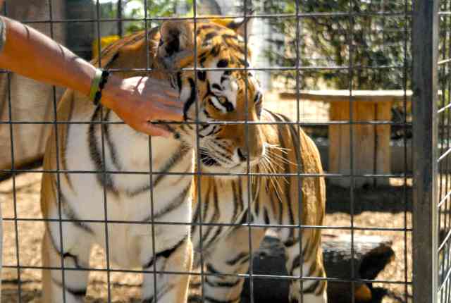 My visit to Forever Wild