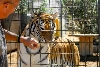 My visit to Forever Wild