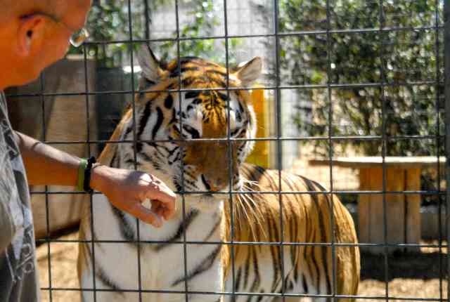 My visit to Forever Wild