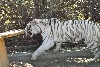 My visit to Forever Wild