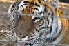 My visit to Forever Wild