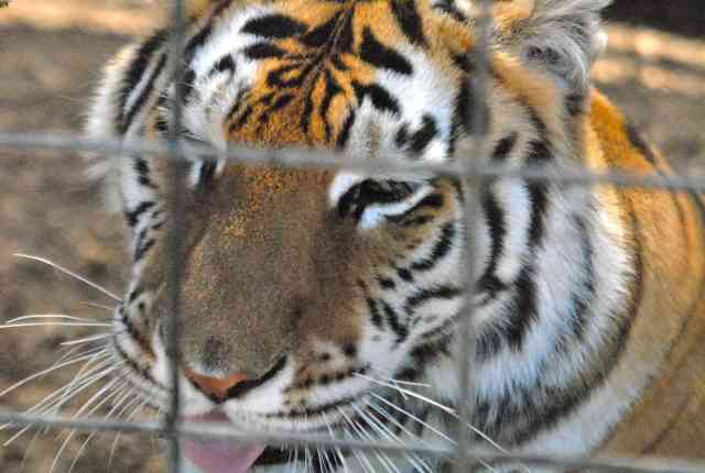 My visit to Forever Wild
