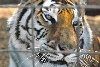My visit to Forever Wild