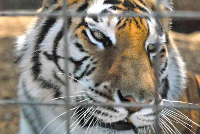 My visit to Forever Wild