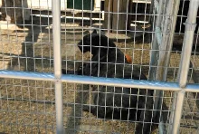 My visit to Forever Wild
