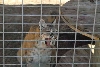 My visit to Forever Wild