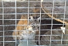 My visit to Forever Wild