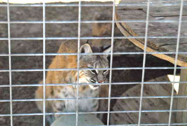 My visit to Forever Wild