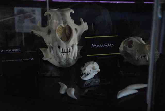 My visit to Forever Wild